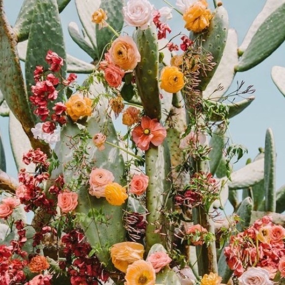 Hello there and welcome! - Picture 2 of 4